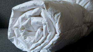 How To Reuse or Recycle a Down Comforter (and Why You Should)