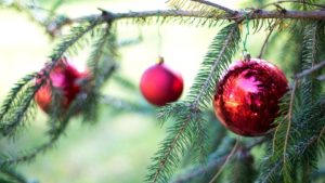 8 Ways to Have the Greenest Christmas Tree